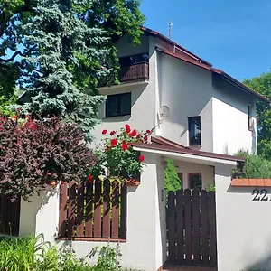 Hidden Gem Garden , Kraków Polska